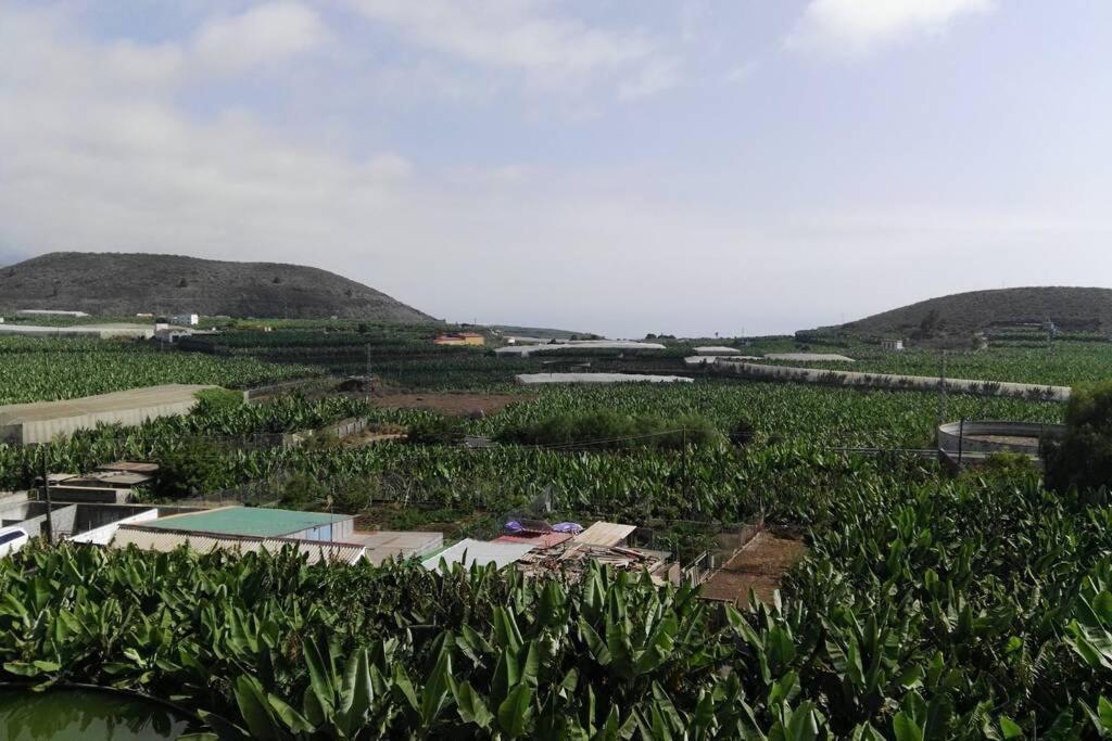 Bonito Y Amplio Piso En Los Llanos De Aridane Exteriör bild